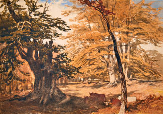 Landscape, Knole Park
