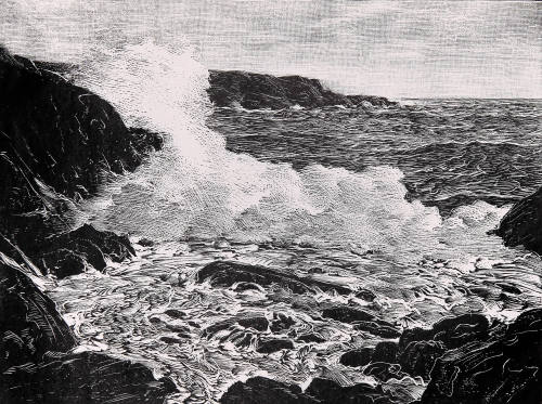 NISBET, ROBERT