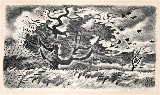 Autumn Wind