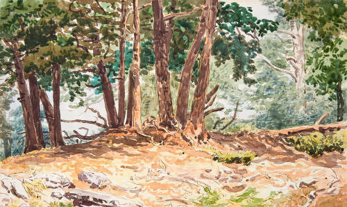 Wooded Landscape