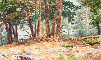 Wooded Landscape