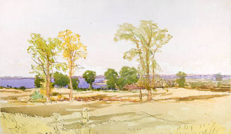 On the Island