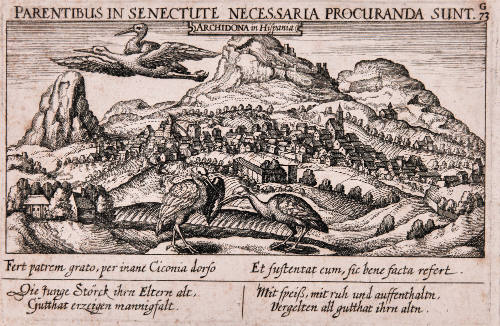 Parentibus In Senectute Necessaria Procuranda Sunt
