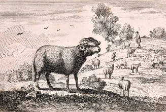 Shepherd with Sheep
