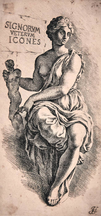 Signorum Veretum Icones