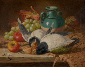 Still Life