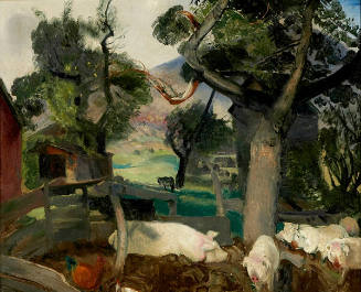 Pigs and Donkey
