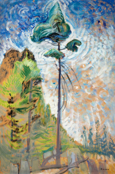 The Pine Tree