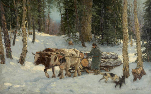 Oxen and Sunlight in the Woods