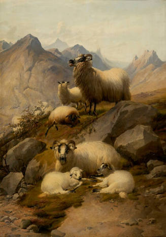 The Cuchullin Hills, Isle of Skye