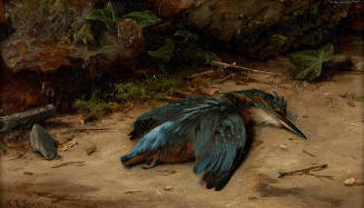 Dead Kingfisher