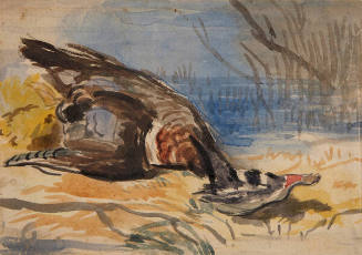Study of a Dead Duck
