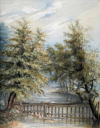 A Weir Across a Stream