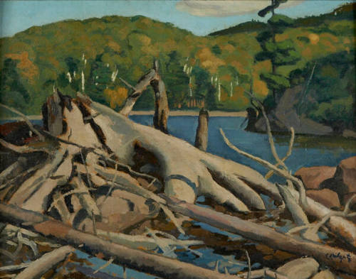 Old Pine Root, Lac Tremblant