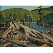 Old Pine Root, Lac Tremblant