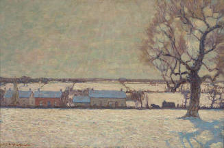 Winter Sunshine