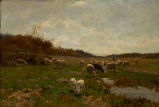Scanty Pastures, Holland