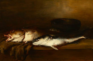 Poissons de mer