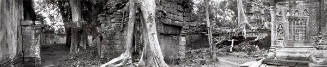 MCB93129 Courtyard / tree / diptych