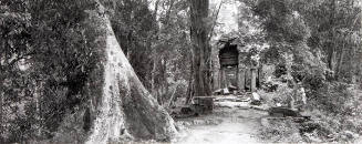 CB93239 Path by Banyan