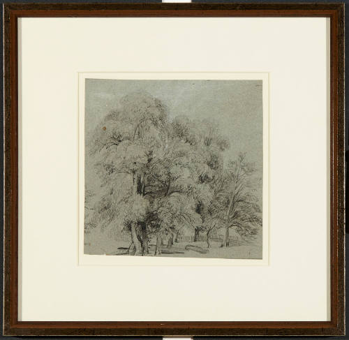 A Grove of Trees