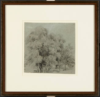 A Grove of Trees