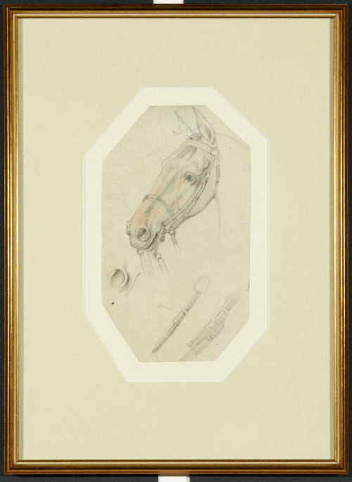 A Horse's Head with Sketches of Tack