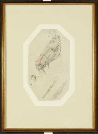 A Horse's Head with Sketches of Tack