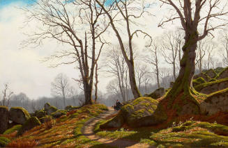 A Walk in the Country