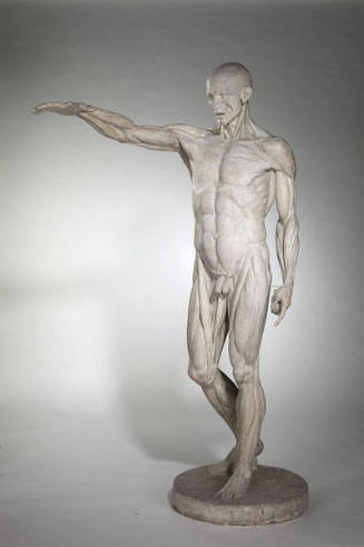 Flayed Man
