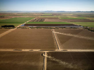 Alfalfa Farms, Imperial Valley, Southern California, USA  2009