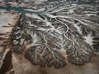 Colorado River Delta #1, Near San Felipe, Baja, Mexico  2012