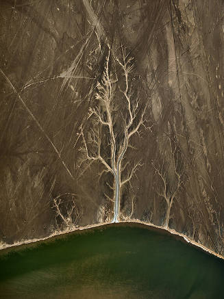 Colorado River Delta #4, Sonora, Mexico  2011