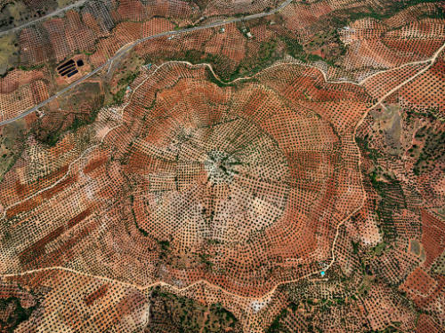 Olive Groves #1, Jaen, Spain  2010