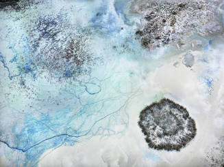 Phosphor Tailings Pond #2, Polk County, Florida, USA  2012