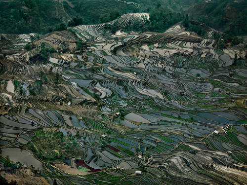 Rice Terraces #5, Western Yunnan Province, China  2012