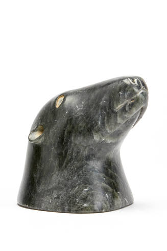 Head of a Polar Bear