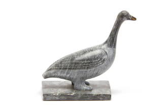Canada Goose