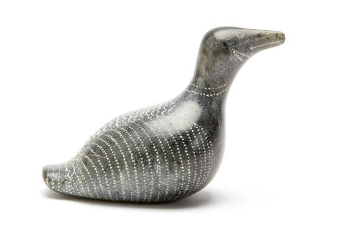 Loon