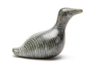 Loon