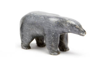 Polar Bear standing
