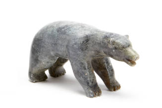 Polar Bear