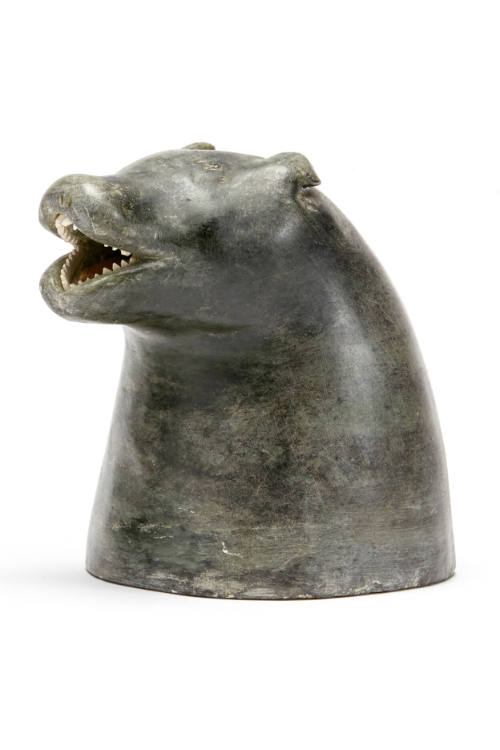 Bust of a Polar Bear