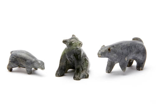 Polar Bear Cub, Dog and Dog