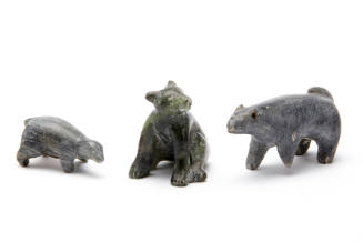 Polar Bear Cub, Dog and Dog