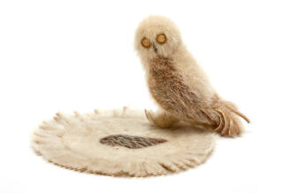 Sealskin owl