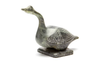 Canada Goose