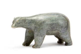 Polar Bear