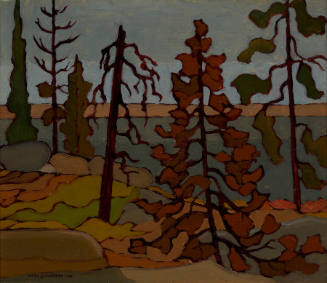 Dead Tree, Pickerel River