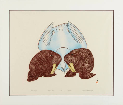 Walrus and Bird